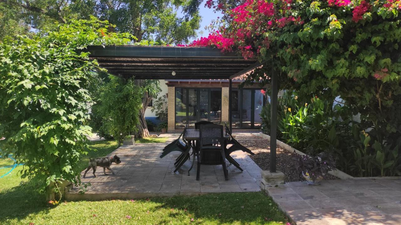 Con Piscina Privada, Natural Y Acogedor Holiday home